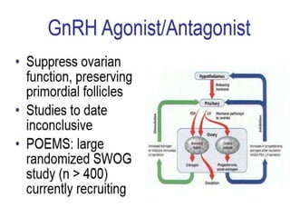 Fertility preservation in gynaec oncology | PPTX
