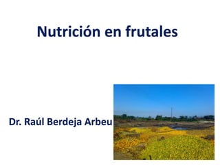Nutrición en frutales
Dr. Raúl Berdeja Arbeu
 