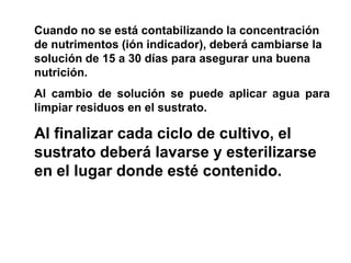 Cuando no se está contabilizando la concentración
de nutrimentos (ión indicador), deberá cambiarse la
solución de 15 a 30 días para asegurar una buena
nutrición.
Al cambio de solución se puede aplicar agua para
limpiar residuos en el sustrato.
Al finalizar cada ciclo de cultivo, el
sustrato deberá lavarse y esterilizarse
en el lugar donde esté contenido.
 