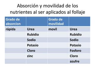 Absorción y movilidad de los
nutrientes al ser aplicados al follaje
Grado de
absorcion
Grado de
movilidad
rápida Urea movil Urea
Rubidio Rubidio
Sodio Sodio
Potasio Potasio
Cloro Fosforo
zinc Cloro
azufre
 