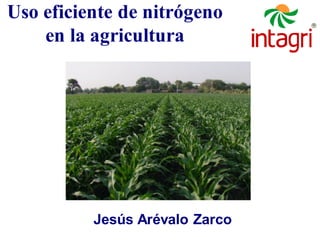 Jesús Arévalo Zarco
Uso eficiente de nitrógeno
en la agricultura
 