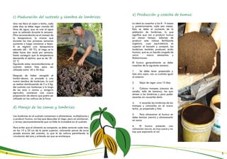 c) Maduración del sustrato y siembra de lombrices:
Una vez lleno el cajón o lecho, cada
siete días se debe regar usando 60
litros de agua, que se une al agua
que va saliendo durante la semana.
Otra recomendación es el manejo de
la temperatura; la misma que
durante las tres primeras semanas
aumenta y luego comienza a bajar.
Si se registra una temperatura
elevada (40 - 50 ºC), el riego se lo
debe hacer dos veces por semana,
hasta conseguir que la temperatura
descienda al óptimo, que es de 18 -
22 °C.
Siguiendo estas recomendaciones el
sustrato estará listo para ser
utilizado entre 45 a 50 días.
Después de haber recogido el
lombri-abono, se procede a una
nueva siembra de lombrices; la cual
se realiza distribuyendo de 2 a 3 Kg.
del sustrato con lombrices a lo largo
de las eras o camas y, amigo/a
agricultor, comienza una nueva
preparación de abono que podrá ser
utilizado en los cultivos de la finca.
e) Producción y cosecha de humus:
Lo ideal es cosechar a los 8 - 9 meses
y, posteriormente, cada seis meses.
Esto se debe al aumento de la
población de lombrices, lo que
significa que van a producir humus
en menor tiempo. Además de
producir este valioso fertilizante
orgánico, cuya equivalencia es
superior al bocashi y compost, las
lombrices también producen ácido
húmico, que es un líquido cargado de
micro - macro elementos y
fitohormonas.
El humus generalmente se debe
cosechar de la siguiente manera:
1. Se debe tener preparado y
listo otro cajón, con un sustrato igual
al anterior.
2. Dejar de regar unos 15 días.
3. Colocar trampas (cáscara de
sandía, tallo de banano), las que
atraen a las lombrices y para poder
sacarlas sin causarles daño.
4. Ir sacando las lombrices de las
trampas y colocarlas en el nuevo
lecho, ya preparado y listo.
5. Para almacenar el humus se
debe tamizar (cernir) y almacenarlo
en sacos.
6. El humus presenta una
coloración oscura, es muy suave y no
hay que exponerlo al sol.
d) Manejo de las camas y lombrices:
Las lombrices en el sustrato comienzan a alimentarse, multiplicarse y
a producir humus; no hay que descuidar el riego, pero sin encharcar;
y revisar permanentemente que no falte la humedad en el sustrato.
Para evitar que el alimento se compacte, se debe remover cada mes,
en los 15 a 20 cm de la parte superior, colocando panca de arroz
picada encima del sustrato, lo que le da soltura permitiendo la
circulación del aire y evitando así que se encharque.
4 5
 