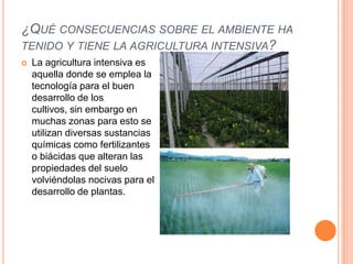¿QUÉ CONSECUENCIAS SOBRE EL AMBIENTE HA
TENIDO Y TIENE LA AGRICULTURA INTENSIVA?
 La agricultura intensiva es
aquella donde se emplea la
tecnología para el buen
desarrollo de los
cultivos, sin embargo en
muchas zonas para esto se
utilizan diversas sustancias
químicas como fertilizantes
o biácidas que alteran las
propiedades del suelo
volviéndolas nocivas para el
desarrollo de plantas.
 