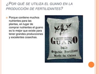 ¿POR QUÉ SE UTILIZA EL GUANO EN LA
PRODUCCIÓN DE FERTILIZANTES?
 Porque contiene muchos
nutrientes para las
plantas, en lugar de
comprar nutrientes el guano
es lo mejor que existe para
tener grandes producciones
y excelentes cosechas.
 