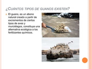 ¿CUÁNTOS TIPOS DE GUANOS EXISTEN?
 El guano, es un abono
natural creado a partir de
excrementos de ciertos
tipos de aves y
murciélagos, constituye una
alternativa ecológica a los
fertilizantes químicos.
 
