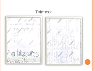 TRÍPTICO:
 