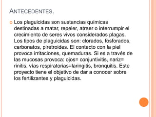 ANTECEDENTES.
 Los plaguicidas son sustancias químicas
destinadas a matar, repeler, atraer o interrumpir el
crecimiento de seres vivos considerados plagas.
Los tipos de plaguicidas son: clorados, fosforados,
carbonatos, piretroides. El contacto con la piel
provoca irritaciones, quemaduras. Si es a través de
las mucosas provoca: ojos= conjuntivitis, nariz=
rinitis, vías respiratorias=laringitis, bronquitis. Este
proyecto tiene el objetivo de dar a conocer sobre
los fertilizantes y plaguicidas.
 