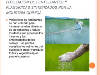 UTILIZACIÓN DE FERTILIZANTES Y
PLAGUICIDAS SINTETIZADOS POR LA
INDUSTRIA QUÍMICA.
 Varios tipos de fertilizantes
se han utilizado para
incrementar el rendimiento
de las cosechas y reducir
los daños que provocan los
insectos y las
enfermedades de los
cultivos. Las plantas
necesitan los nutrientes del
suelo para crecer y producir
frutas y vegetales aptos
para el consumo.
 