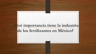 ¿Qué importancia tiene la industria
de los fertilizantes en México?

 