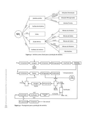 FERTILIZANTES: AGROINDÚSTRIA E SUSTENTABILIDADE 
220 
Créditos Sumário Apresentação Home 
Figura 4.1 - Amônia como chave para a produção de adubos. 
Figura 4.2 - Fluxograma para a produção de amônia. 
 