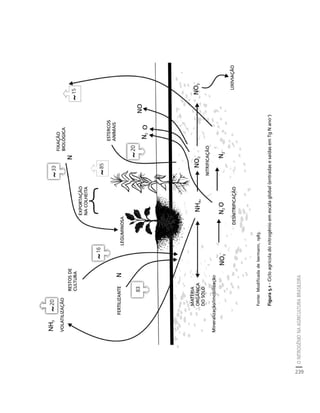 239 
Fonte: Modificada de Isermann, 1983. 
Figura 5.1 - Ciclo agrícola do nitrogênio em escala global (entradas e saídas em Tg N ano-1) 
O NITROGÊNIO NA AGRICULTURA BRASILEIRA 
Créditos Sumário Apresentação Home 
 