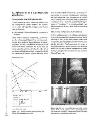 fertilizantesFertilizantes