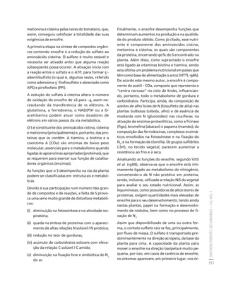 fertilizantesFertilizantes