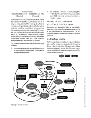 fertilizantesFertilizantes