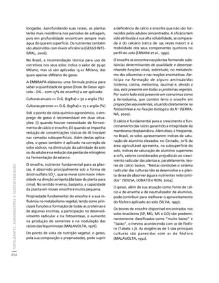 fertilizantesFertilizantes