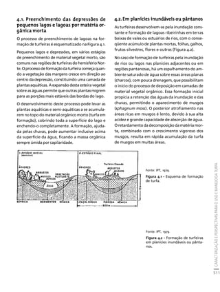 fertilizantesFertilizantes