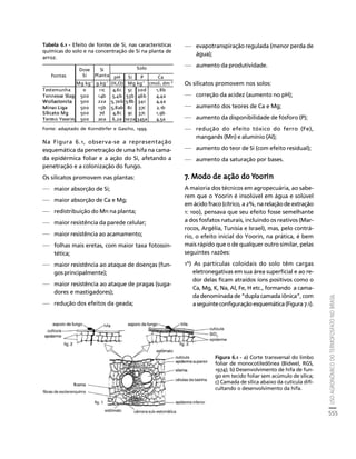 fertilizantesFertilizantes
