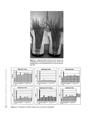 fertilizantesFertilizantes