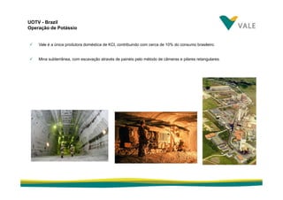 fertilizantesFertilizantes