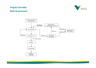fertilizantesFertilizantes