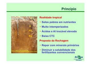 fertilizantesFertilizantes