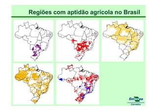 fertilizantesFertilizantes