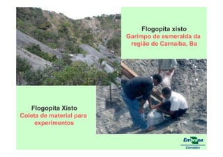 fertilizantesFertilizantes