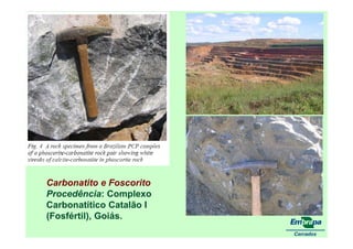 fertilizantesFertilizantes