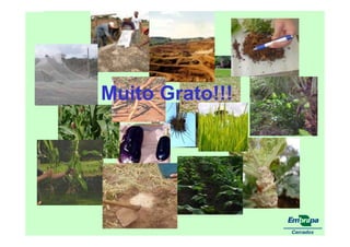 fertilizantesFertilizantes