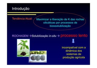 fertilizantesFertilizantes