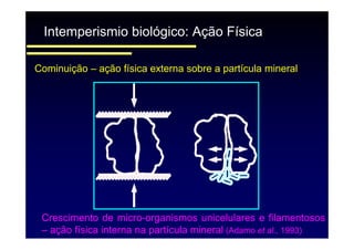 fertilizantesFertilizantes