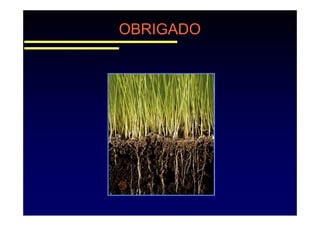 fertilizantesFertilizantes