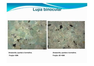 fertilizantesFertilizantes