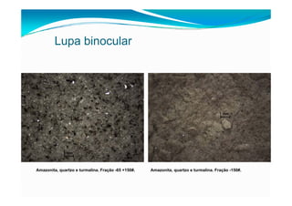 fertilizantesFertilizantes