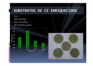 fertilizantesFertilizantes
