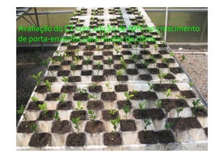 fertilizantesFertilizantes