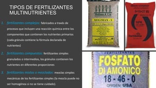 TIPOS DE FERTILIZANTES
MULTINUTRIENTES
1. fertilizantes complejos: fabricados a través de
procesos que incluyen una reacción química entre los
componentes que contienen los nutrientes primarios
(cada gránulo contiene la fórmula declarada de
nutrientes)
2. fertilizantes compuestos: fertilizantes simples
granulados o intermedios, los gránulos contienen los
nutrientes en diferentes proporciones
3. fertilizantes mixtos o mezclados: mezclas simples
mecánicas de los fertilizantes simples (la mezcla puede no
ser homogénea si no se tiene cuidado).
 