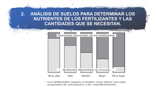 2. ANÁLISIS DE SUELOS PARA DETERMINAR LOS
NUTRIENTES DE LOS FERTILIZANTES Y LAS
CANTIDADES QUE SE NECESITAN.
 