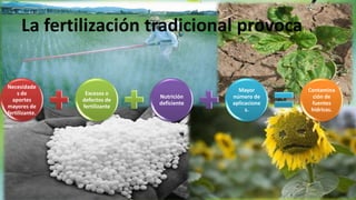 La fertilización tradicional provoca
Necesidade
s de
aportes
mayores de
fertilizante.

Excesos o
defectos de
fertilizante

Nutrición
deficiente

Mayor
número de
aplicacione
s.

Contamina
ción de
fuentes
hídricas.

 