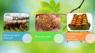 Reducción de la
mano de

No quema obra

Incremento en
calidad y
producción

 