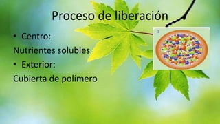 Proceso de liberación
• Centro:
Nutrientes solubles
• Exterior:
Cubierta de polímero

 