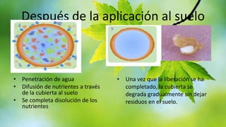 Después de la aplicación al suelo

• Penetración de agua
• Difusión de nutrientes a través
de la cubierta al suelo
• Se completa disolución de los
nutrientes

• Una vez que la liberación se ha
completado, la cubierta se
degrada gradualmente sin dejar
residuos en el suelo.

 