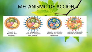 MECANISMO DE ACCIÓN

 