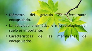 • Diámetro del gránulo del fertilizante
encapsulado.
• La actividad enzimática y microbiológica del
suelo es importante.
• Características de las membranas de
encapsulados.

 