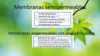 Membranas semipermeables

Membranas impermeables con pequeños poros

 