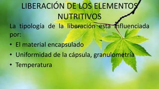 LIBERACIÓN DE LOS ELEMENTOS
NUTRITIVOS
La tipología de la liberación esta influenciada
por:
• El material encapsulado
• Uniformidad de la cápsula, granulometría
• Temperatura

 