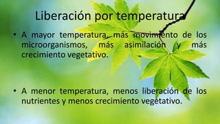 Liberación por temperatura
• A mayor temperatura, más movimiento de los
microorganismos, más asimilación y más
crecimiento vegetativo.

• A menor temperatura, menos liberación de los
nutrientes y menos crecimiento vegetativo.

 