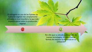 El nitrógeno es una de las fuentes de
nutrición vegetal más ampliamente
utilizadas a nivel mundial y la que más
impacto ejerce sobre la producción
vegetal.

Por ello que su estudio y desarrollo de
nuevas tecnologías, tiende a buscar
formas de mejorar la eficiencia en su
utilización

 