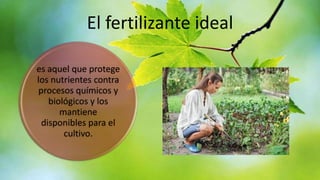 El fertilizante ideal
es aquel que protege
los nutrientes contra
procesos químicos y
biológicos y los
mantiene
disponibles para el
cultivo.

 