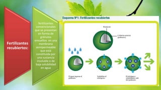 Fertilizantes
recubiertos:

fertilizantes
convencionales
que se presentan
en forma de
gránulos
envueltos en una
membrana
semipermeable
que está
constituida por
una sustancia
insoluble o de
baja solubilidad
en agua

 